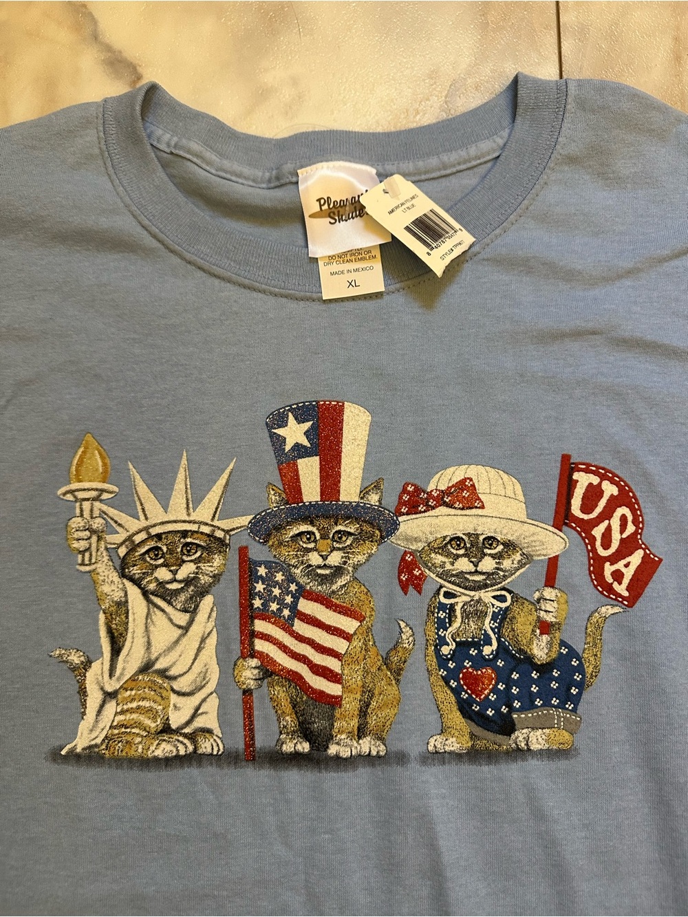 Patriotic Cat Graphic Tee - Light Blue